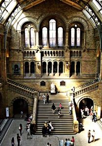Main Hall, Natural History Museum