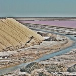 Cheap Weekend Breaks in the Camargue