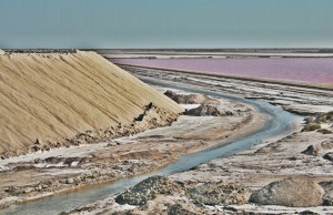 Camargue Salt Plains Camargue Salt Plains