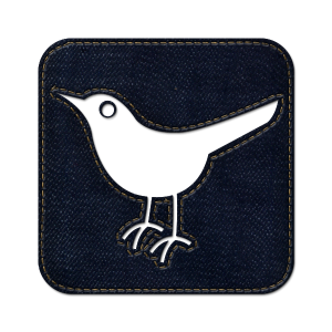 twitter-bird2-square-webtreatsetc