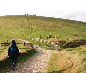 South Downs