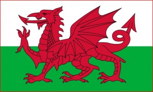 Welsh Flag