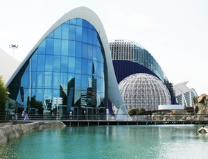 Just One Part of the City of Arts and Sciences