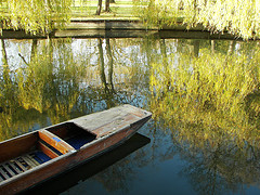 Cambridge Punt