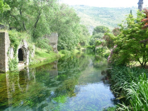 4. Ninfa